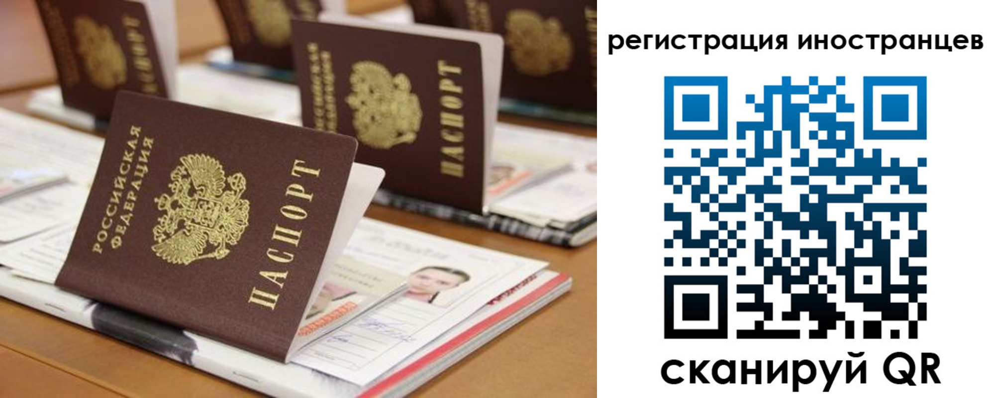 прописка для работы в Брянской области